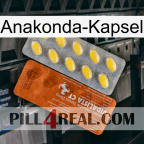 Anaconda Capsule 42